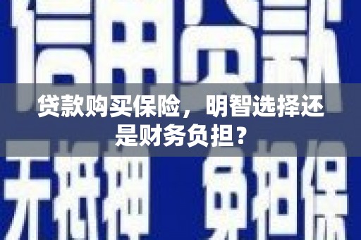 衡阳贷款购买保险，明智选择还是财务负担？
