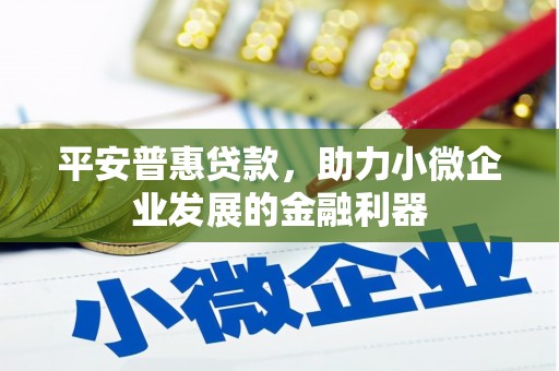 衡阳平安普惠贷款，助力小微企业发展的金融利器