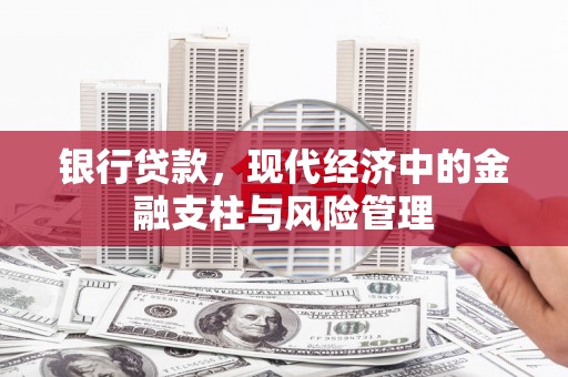 衡阳银行贷款，现代经济中的金融支柱与风险管理