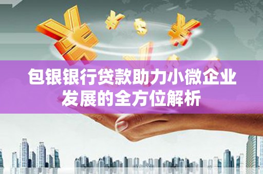 衡阳包银银行贷款助力小微企业发展的全方位解析 衡阳包银银行贷款助力小微企业发展的全方位解析