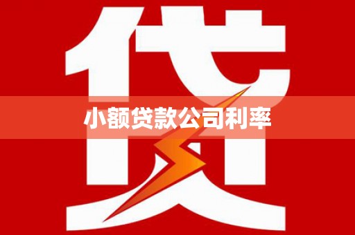 衡阳小额贷款公司利率