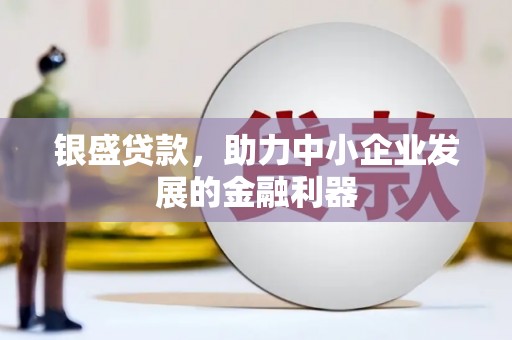 衡阳银盛贷款，助力中小企业发展的金融利器