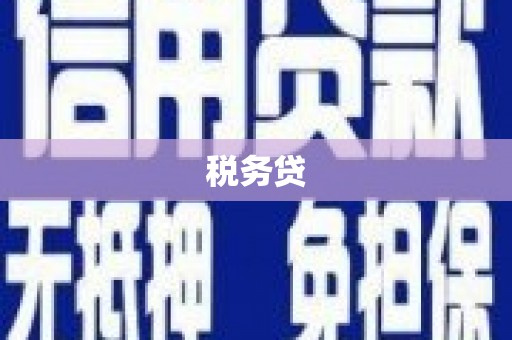 衡阳税务贷