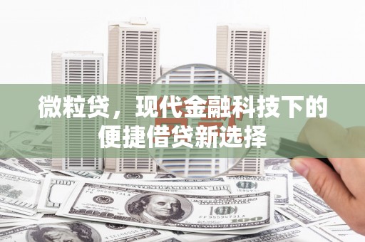 衡阳微粒贷，现代金融科技下的便捷借贷新选择