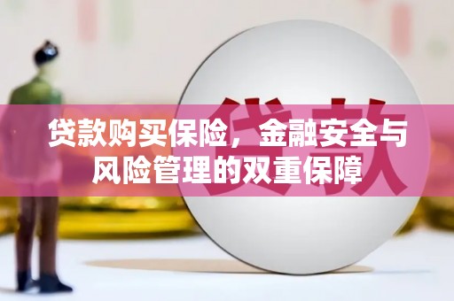 衡阳贷款购买保险，金融安全与风险管理的双重保障