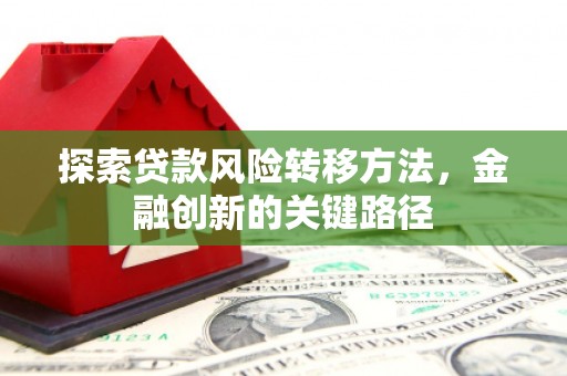 衡阳探索贷款风险转移方法，金融创新的关键路径