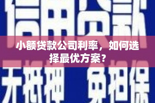 衡阳小额贷款公司利率，如何选择最优方案？