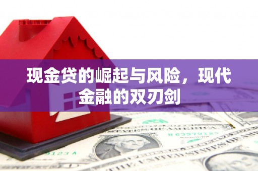 衡阳现金贷的崛起与风险，现代金融的双刃剑