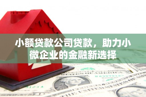 衡阳小额贷款公司贷款，助力小微企业的金融新选择