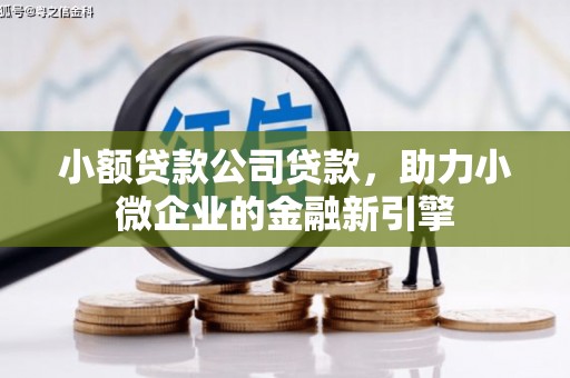 衡阳小额贷款公司贷款，助力小微企业的金融新引擎