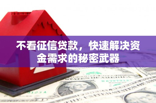 衡阳不看征信贷款，快速解决资金需求的秘密武器