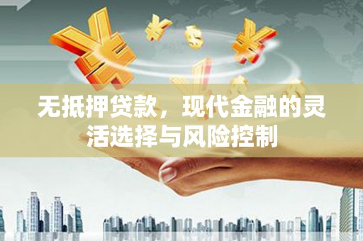 衡阳无抵押贷款，现代金融的灵活选择与风险控制