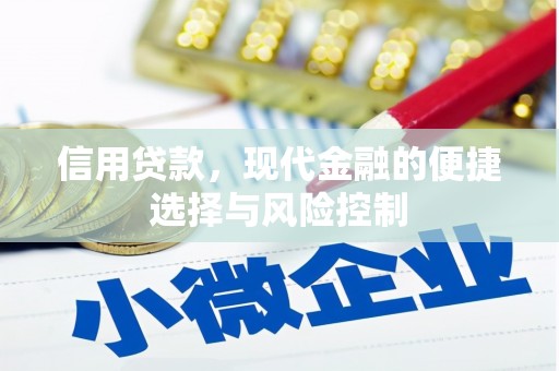 衡阳信用贷款，现代金融的便捷选择与风险控制