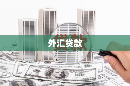 衡阳外汇贷款