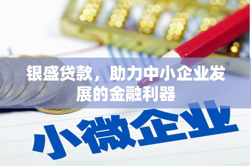 衡阳银盛贷款，助力中小企业发展的金融利器