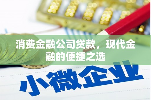 衡阳消费金融公司贷款，现代金融的便捷之选