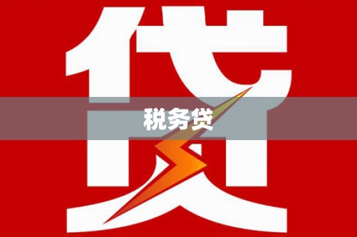 衡阳税务贷