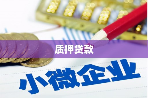 衡阳质押贷款