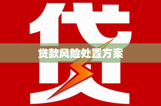 衡阳贷款风险处置方案