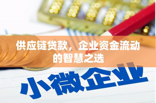 衡阳供应链贷款，企业资金流动的智慧之选