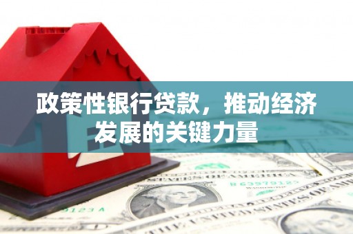 衡阳政策性银行贷款，推动经济发展的关键力量