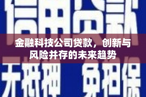 衡阳金融科技公司贷款，创新与风险并存的未来趋势