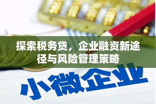 衡阳探索税务贷，企业融资新途径与风险管理策略