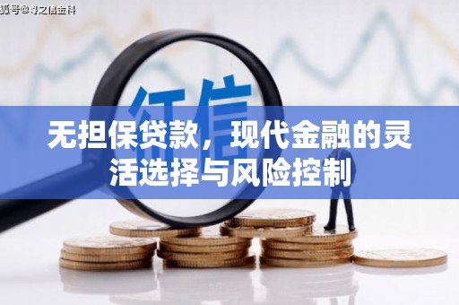 衡阳无担保贷款，现代金融的灵活选择与风险控制
