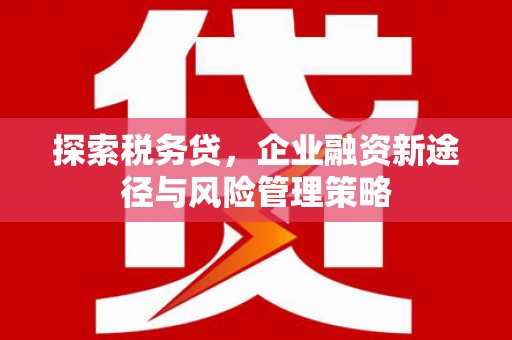 衡阳探索税务贷，企业融资新途径与风险管理策略