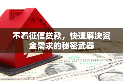 衡阳不看征信贷款，快速解决资金需求的秘密武器