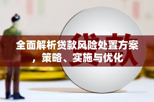 衡阳全面解析贷款风险处置方案，策略、实施与优化