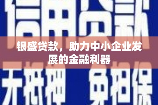 衡阳银盛贷款，助力中小企业发展的金融利器