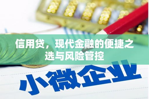 衡阳信用贷，现代金融的便捷之选与风险管控