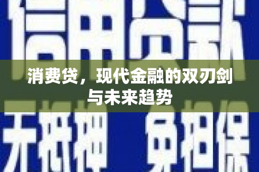 衡阳消费贷，现代金融的双刃剑与未来趋势