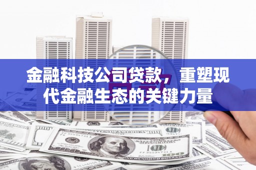 衡阳金融科技公司贷款，重塑现代金融生态的关键力量