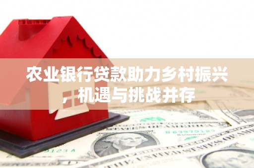衡阳农业银行贷款助力乡村振兴，机遇与挑战并存