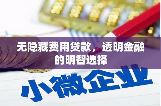 衡阳无隐藏费用贷款，透明金融的明智选择
