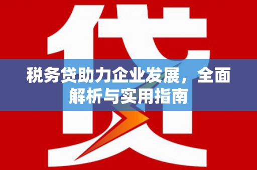 衡阳税务贷助力企业发展，全面解析与实用指南