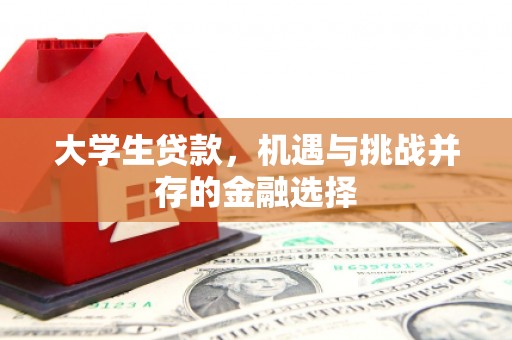 衡阳大学生贷款，机遇与挑战并存的金融选择