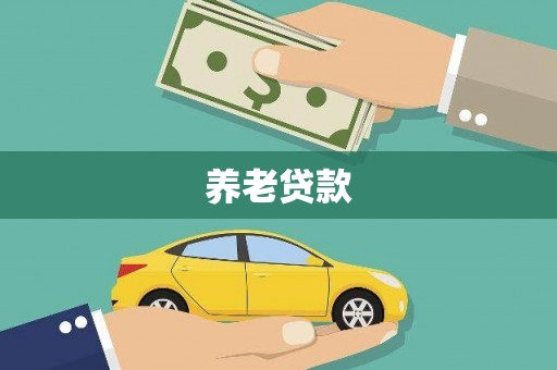 衡阳养老贷款