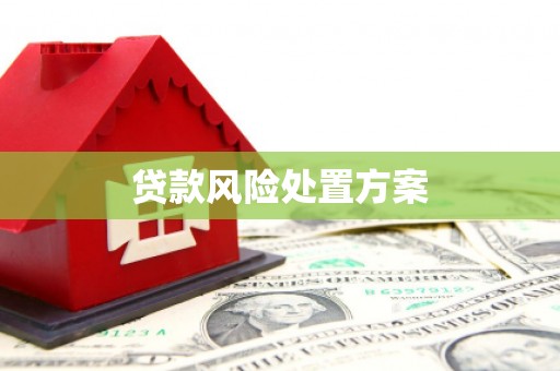 衡阳贷款风险处置方案