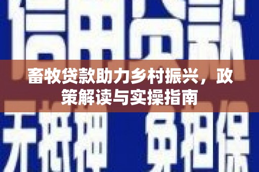 衡阳畜牧贷款助力乡村振兴，政策解读与实操指南