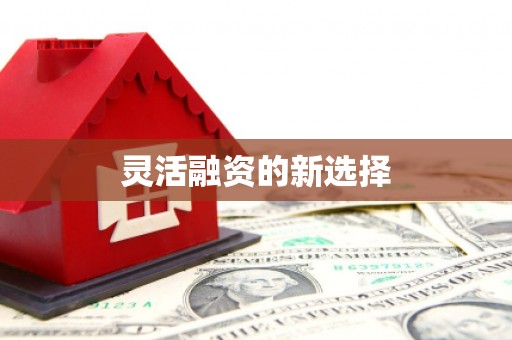 衡阳灵活融资的新选择