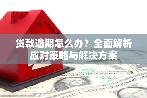 衡阳贷款逾期怎么办？全面解析应对策略与解决方案
