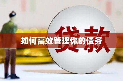 衡阳如何高效管理你的债务