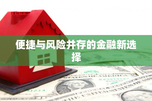 衡阳便捷与风险并存的金融新选择