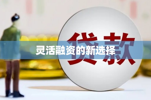 衡阳灵活融资的新选择