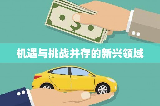 衡阳机遇与挑战并存的新兴领域
