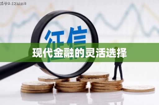 衡阳现代金融的灵活选择