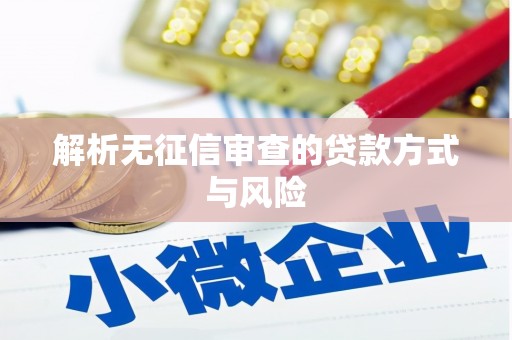 衡阳解析无征信审查的贷款方式与风险